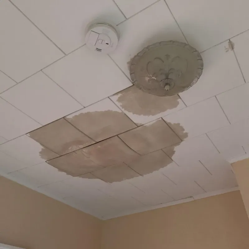Ceiling Water Damage Repair in Ojai, CA