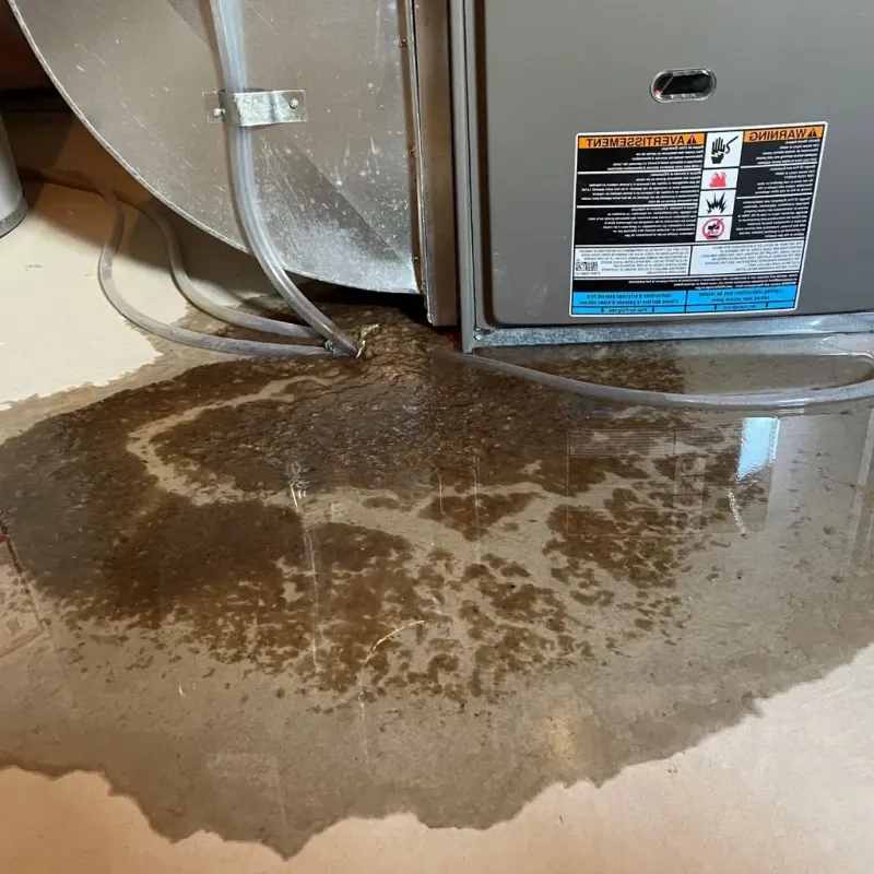 Pipe Burst and Leak Restoration in Ojai, CA